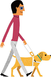 盲導犬と男性が歩いている様子。