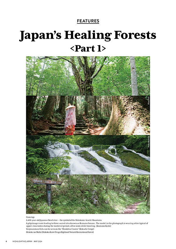 [THEME FOR MAY] JAPAN’S HEALING FORESTS (PART 1) Cover