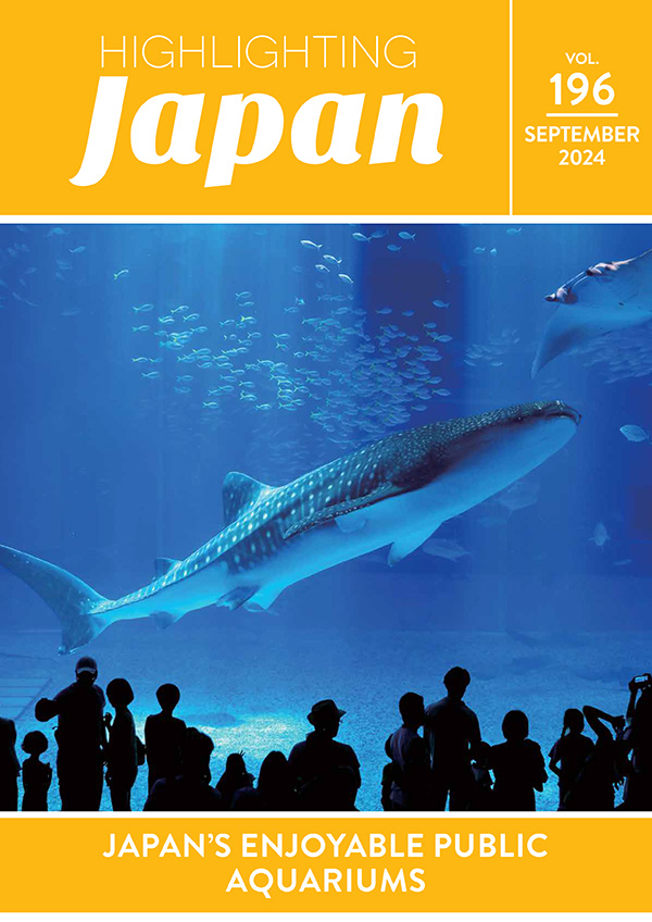 HIGHLIGHTING Japan  Cover