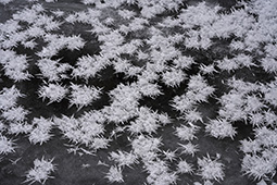 Diamond Dust: Hokkaido Winter Glitter, January 2022