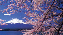 the video of Yamanashi Prefecture