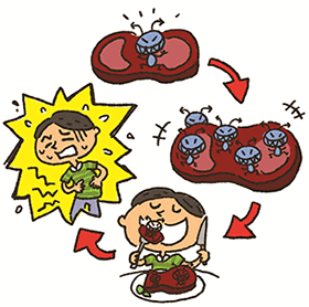 食べ物に付いた食中毒菌は時間とともに増加。その食べ物を食べることで食中毒が発生。