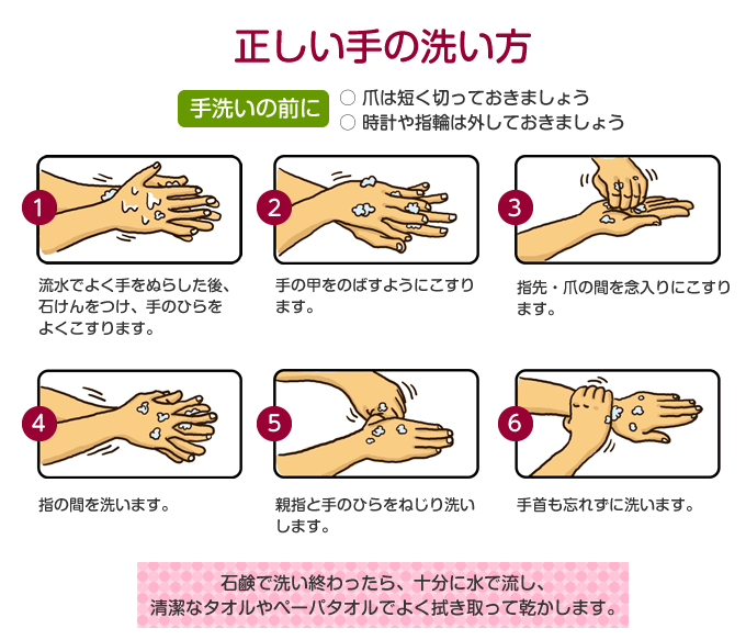 正しい手の洗い方。手洗いの前に爪は短く切っておく、時計や指輪ははずす。手洗いのステップは、（1）石鹸をつけ、手のひらをよくこする（2）手の甲を伸ばすようにこすりつける（3）指先・爪の間を念入りにこする（4）指の間を洗う（5）親指と手のひらをねじり洗いする（6）手首を洗う　洗い終わったら、十分に水で流し、清潔なタオルやペーパータオルで拭き取る