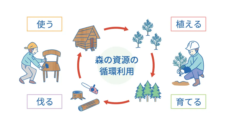 森の資源の循環利用のイメージ。「伐る」「使う」「植える」、「育てる」が循環している。
