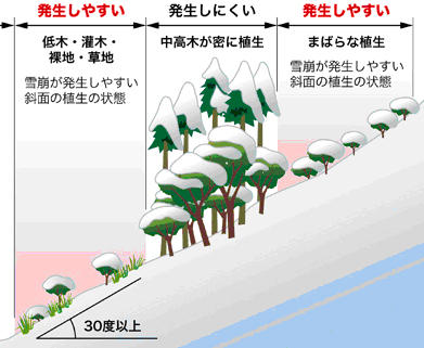雪崩が発生しやすい斜面の説明図
