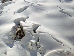 斜面に雪の裂け目ができている写真