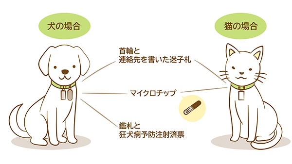 首輪と連絡先を書いた迷子札、マイクロチップを装着した犬と猫。犬の首輪には鑑札と狂犬病予防注射済票も付いている。